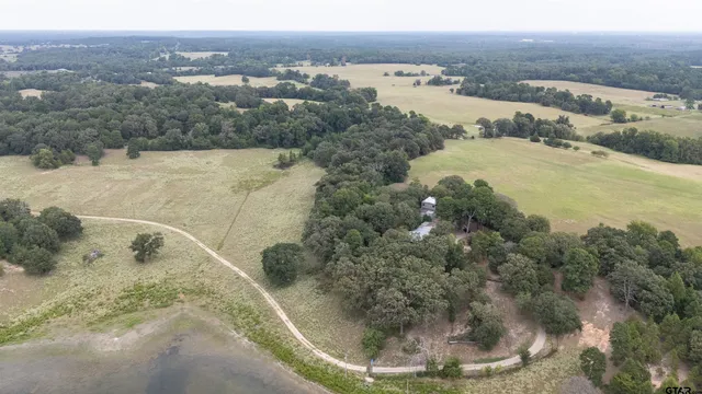 a view of a dry yard