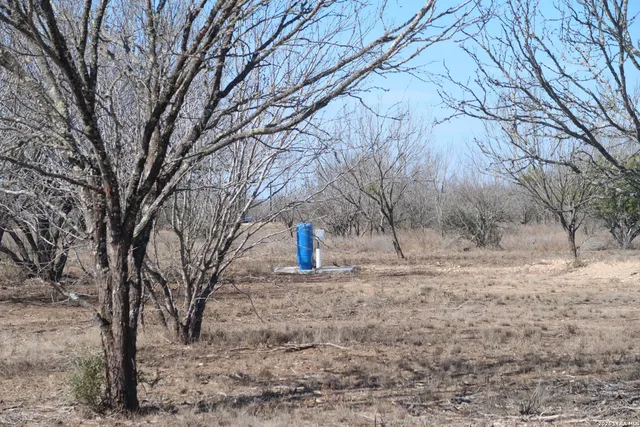 a backyard of a house with large trees and wooden fence