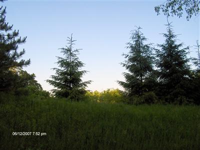 8551 Wildwood Road Reading, MI 49274 - Photo 1 of 7 Primary Photo