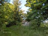 8551 Wildwood Road Reading, MI 49274 - Photo 7 of 7 Additional Photo