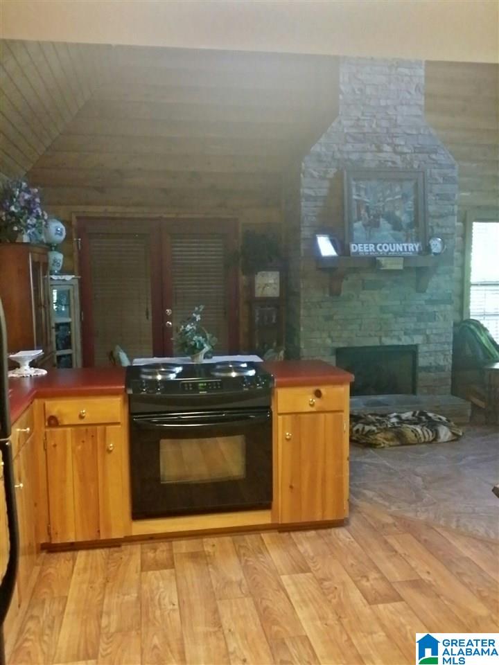 1756 Cottaquilla Road Jacksonville, AL 36265 - Photo 19 of 50