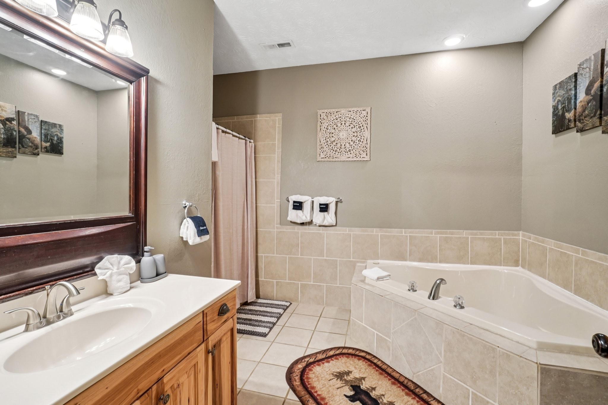 641 Pinnacle Vista Road Gatlinburg, TN 37738 - Photo 46 of 68 a bathroom with a tub a sink and a mirror