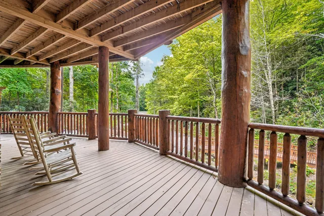 a view of a tree in a yard