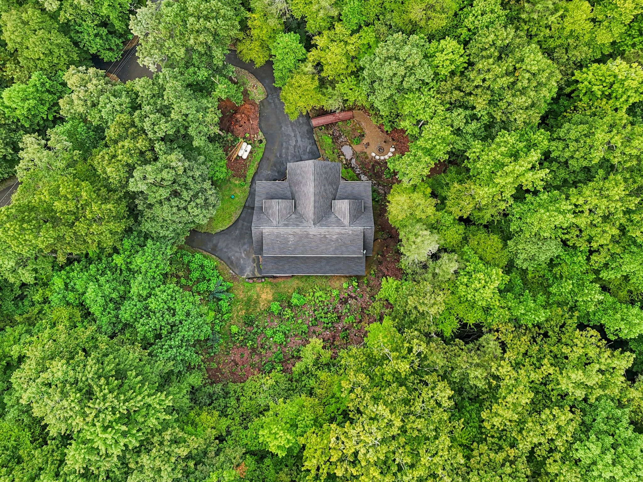 641 Pinnacle Vista Road Gatlinburg, TN 37738 - Photo 64 of 68 a view of a garden with a tree