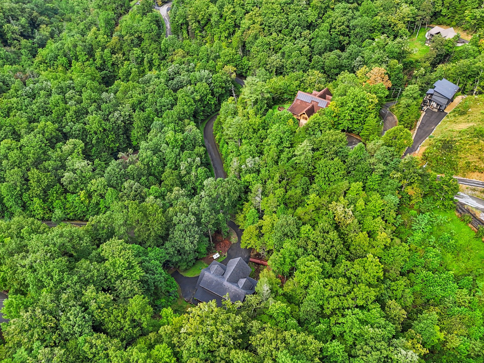 641 Pinnacle Vista Road Gatlinburg, TN 37738 - Photo 66 of 68 a view of a tree in a yard