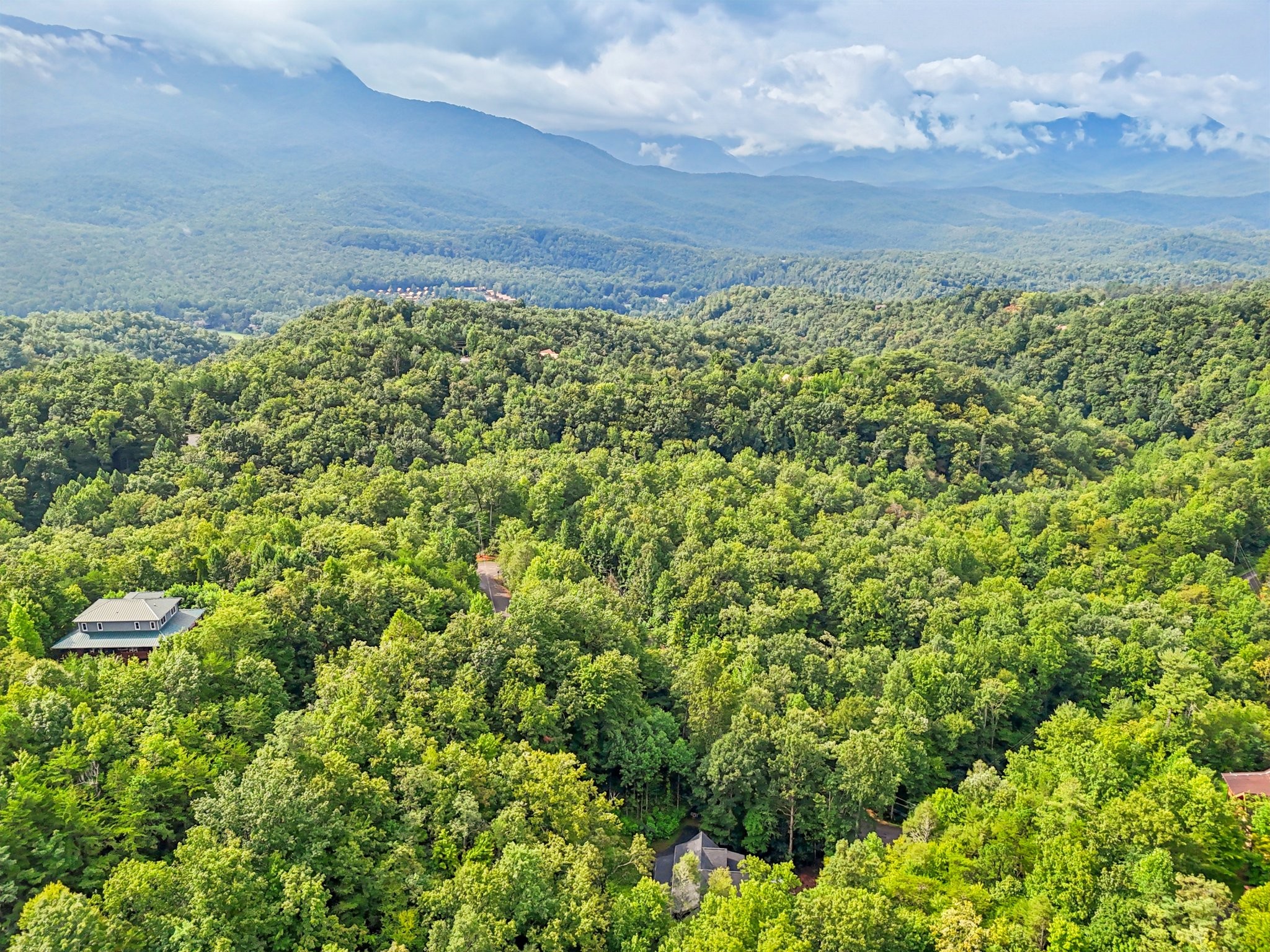 641 Pinnacle Vista Road Gatlinburg, TN 37738 - Photo 67 of 68 a view of a big yard with lots of bushes