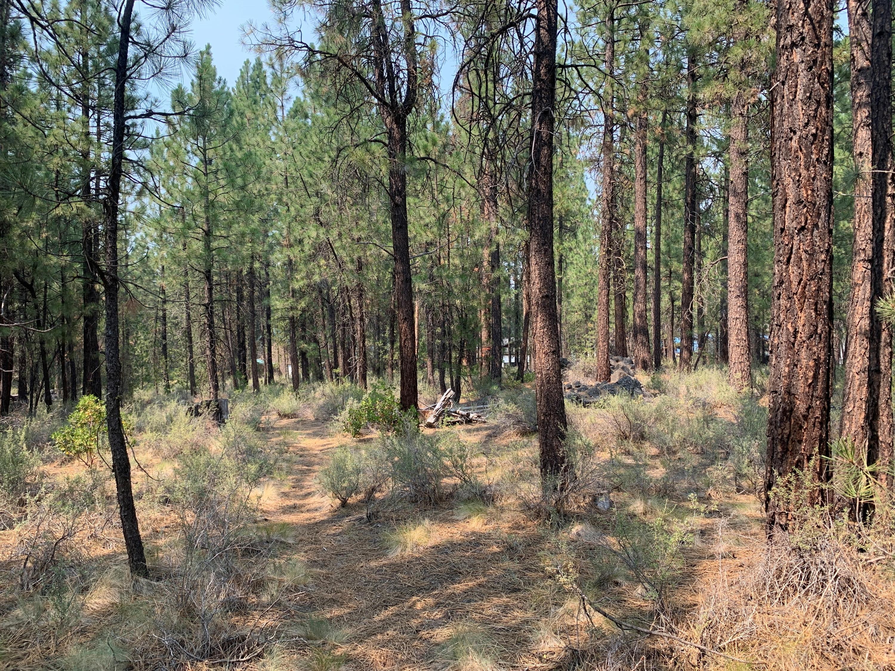 16917 Jacinto Road Bend, OR 97707 - Photo 21 of 36 20