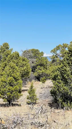 $15,000 | 145 Lake Of The Falls Parkway, Mosca, CO 81146