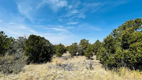 $15,000 | 145 Lake Of The Falls Parkway, Mosca, CO 81146