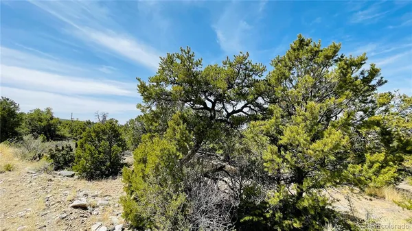 $15,000 | 145 Lake Of The Falls Parkway, Mosca, CO 81146