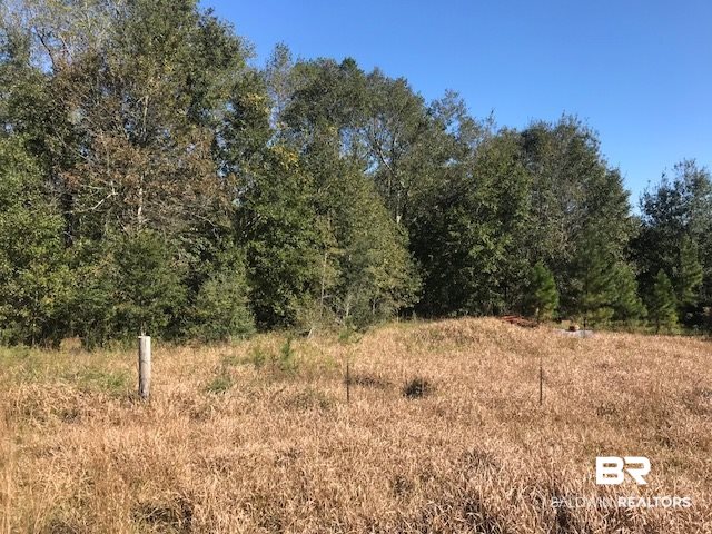 22764 Poplar Road Robertsdale, AL 36567 - Photo 2 of 5