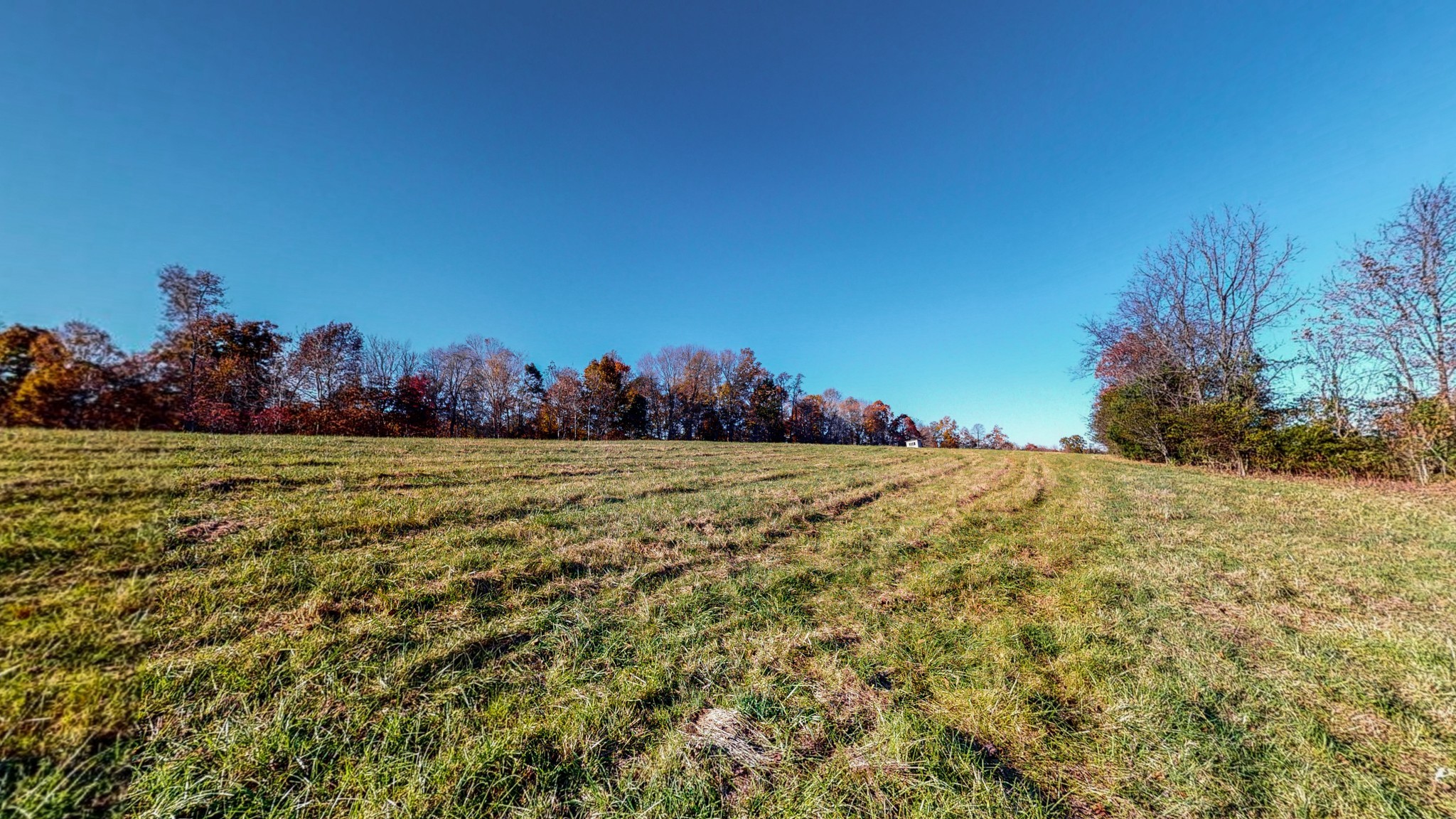 0 Leo Whitley Road Lafayette, TN 37083 - Photo 4 of 12 a view of outdoor space and yard