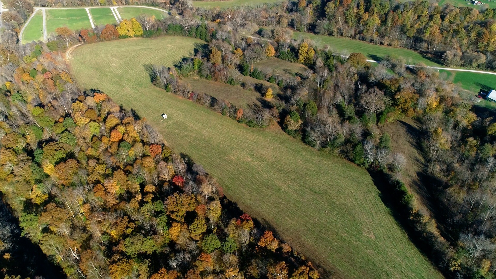 0 Leo Whitley Road Lafayette, TN 37083 - Photo 8 of 12