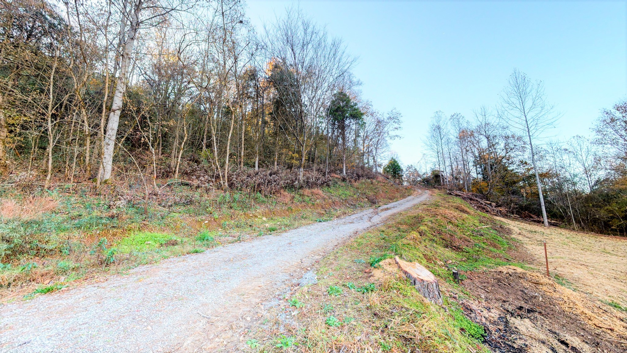 0 Leo Whitley Road Lafayette, TN 37083 - Photo 9 of 12 a view of backyard with green space