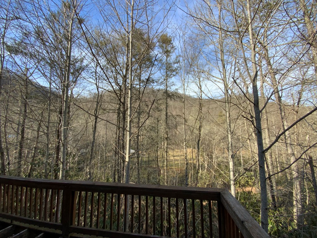 60 Porterfield Gap Road Robbinsville, NC 28771 - Photo 25 of 35