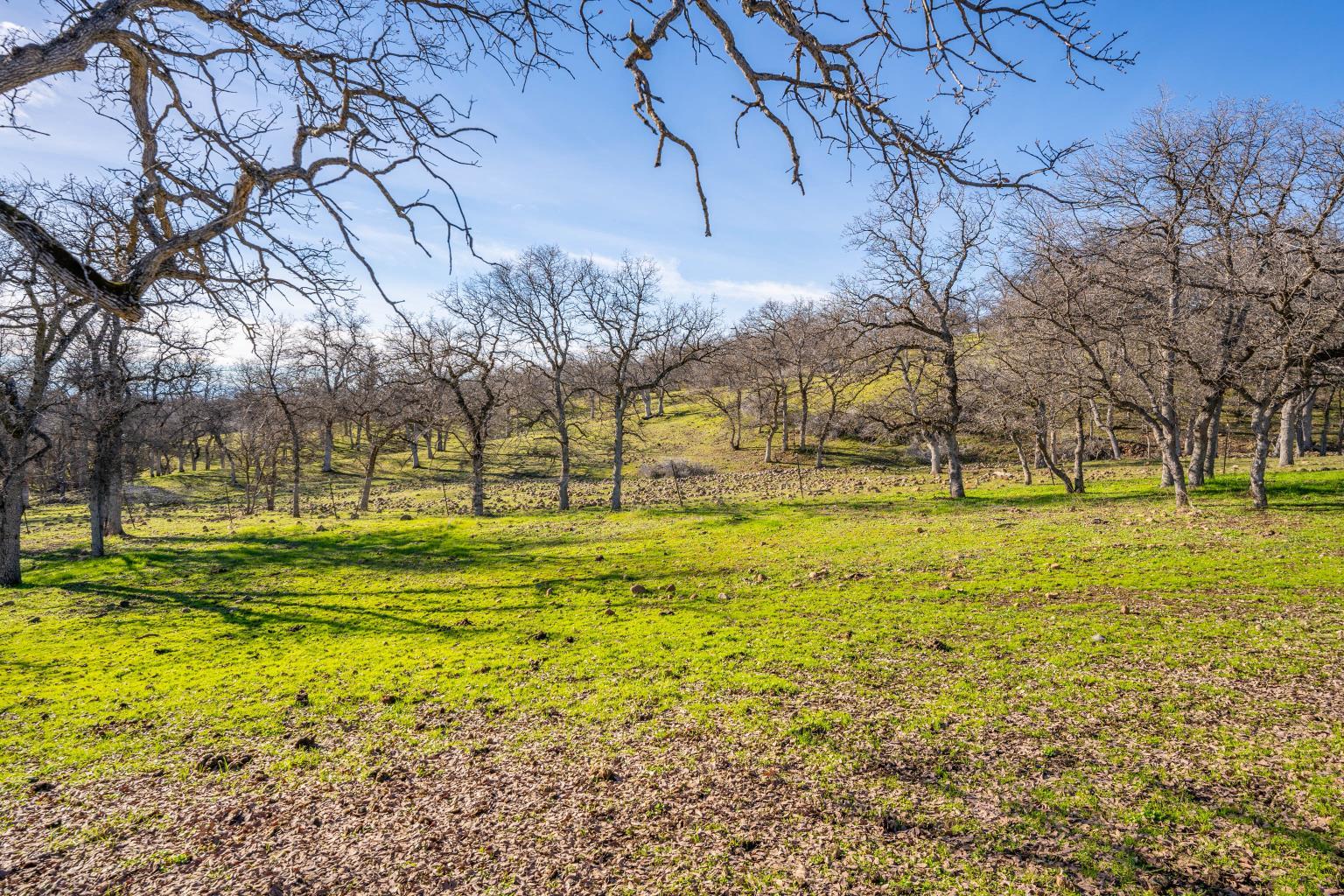 24470 Dersch Road Shingletown, CA 96088 - Photo 72 of 83 IMG_1098