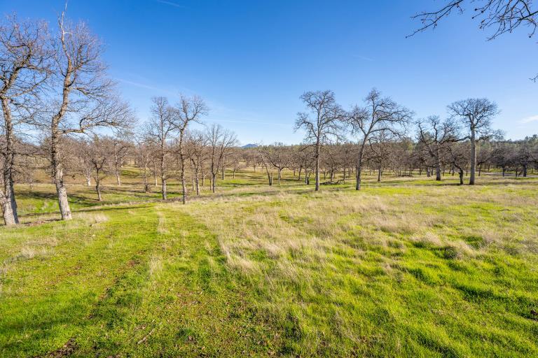 24470 Dersch Road Shingletown, CA 96088 - Photo 81 of 83 IMG_1113