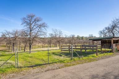 24470 Dersch Road Shingletown, CA 96088 - Photo 82 of 83 IMG_1108