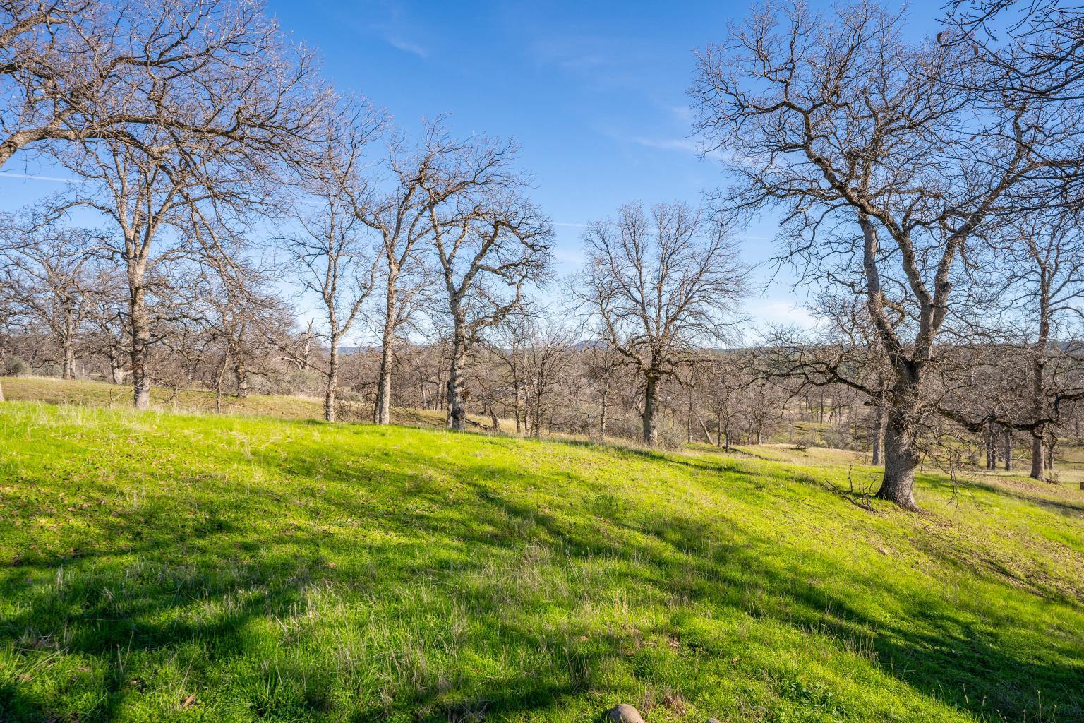 24470 Dersch Road Shingletown, CA 96088 - Photo 83 of 83 IMG_1090