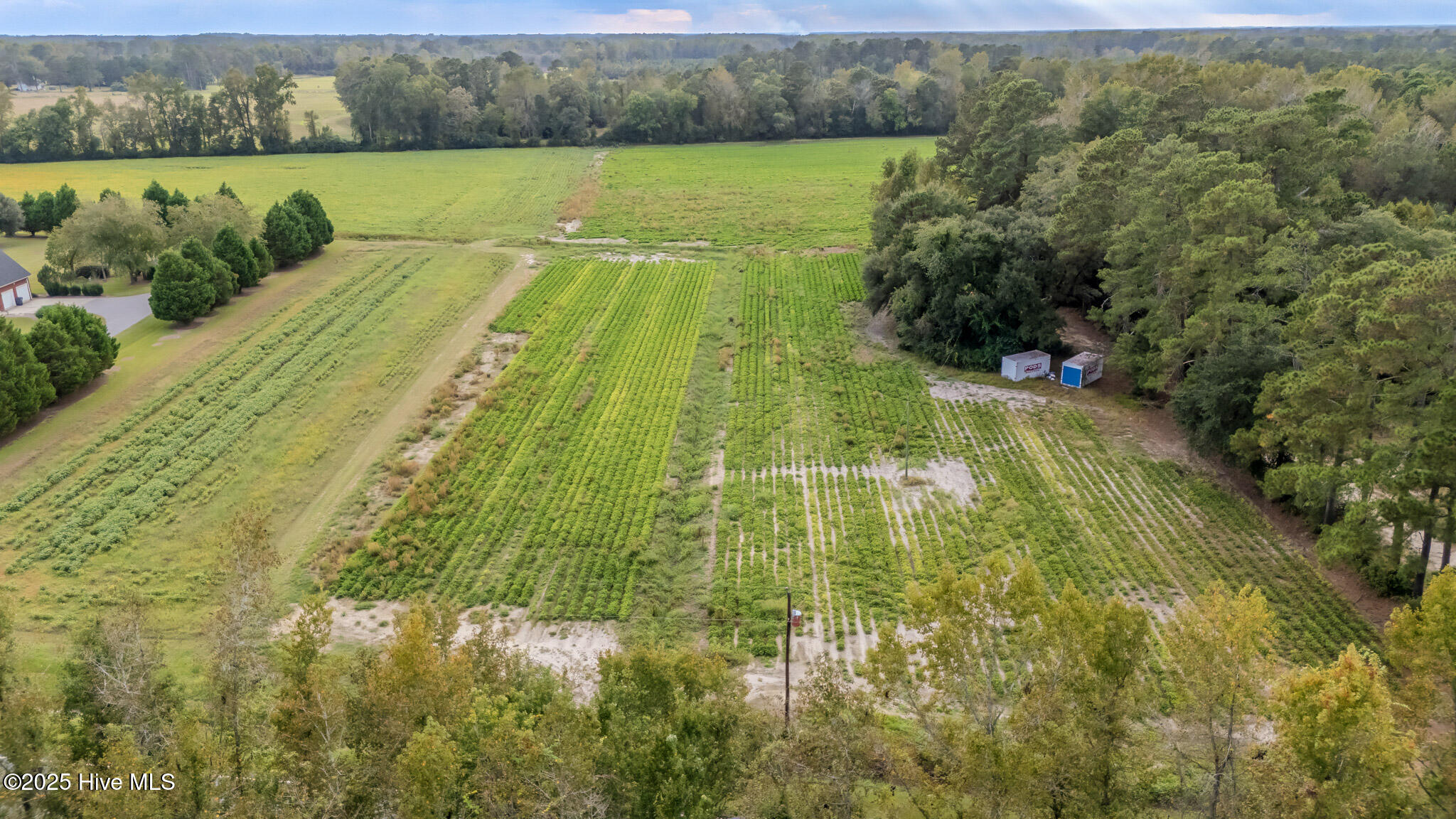 2-515 Porter Swamp Road Cerro Gordo, NC 28430 - Photo 2 of 12 01