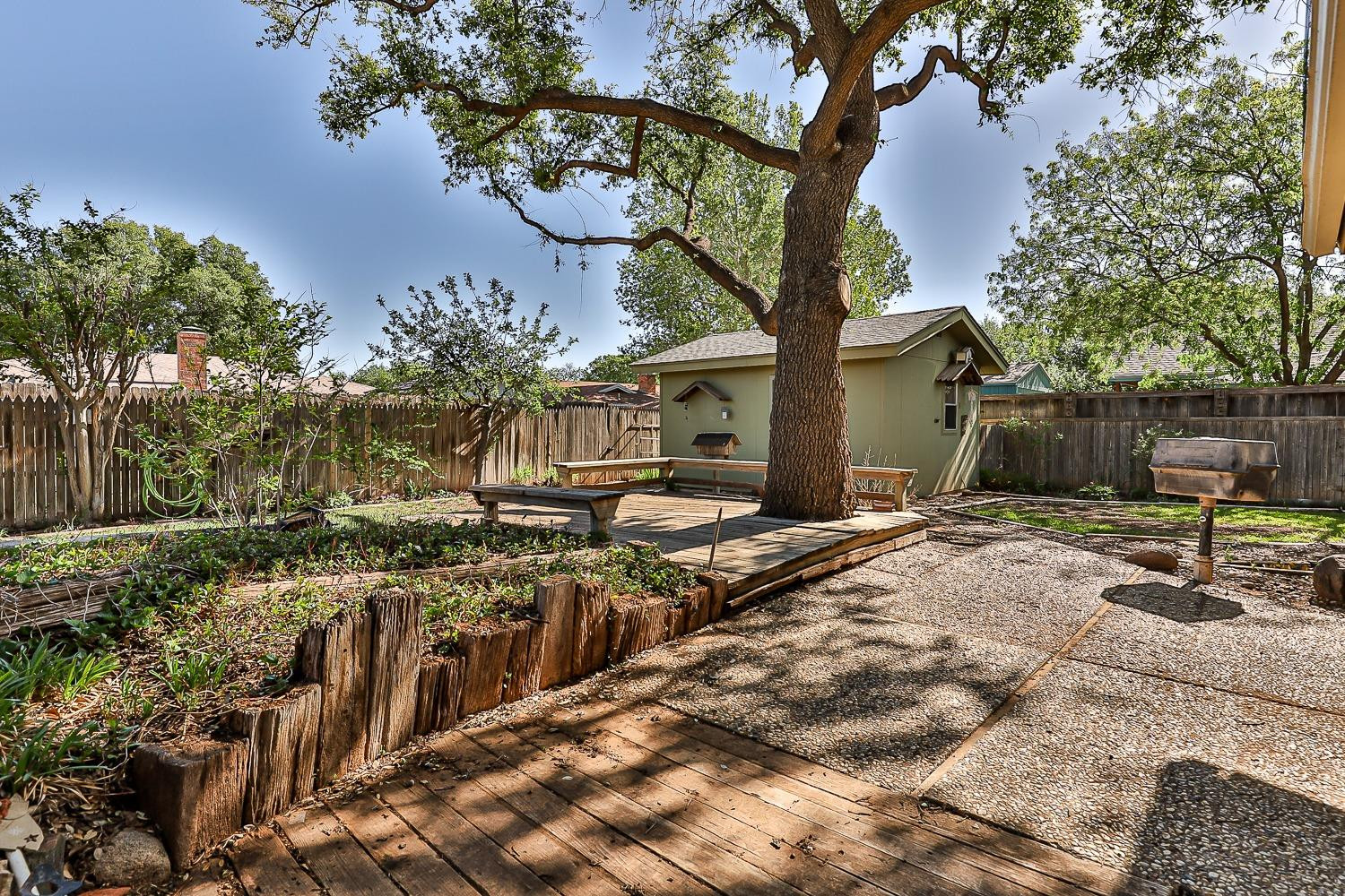 4602 63rd Street Lubbock, TX 79414 - Photo 31 of 37 a row of palm trees in front of house