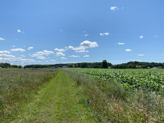 5254 Miller Road Buckley, MI 49620 - Photo 74 of 79 1890710-73.JPG