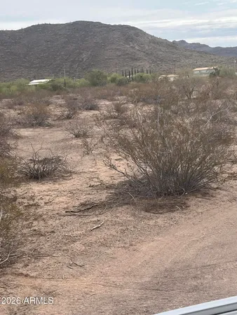 a view of a dry yard with mountains in the background