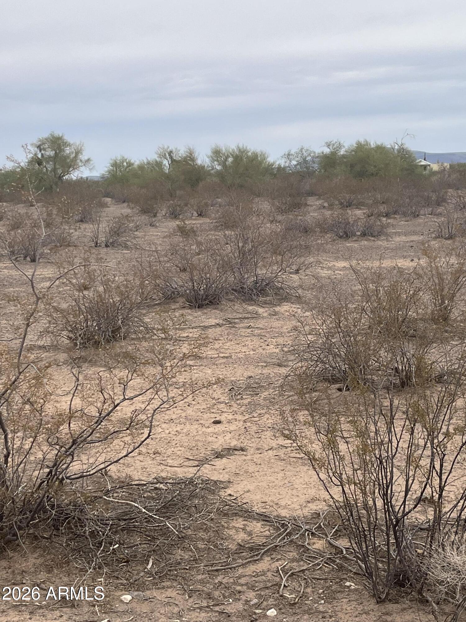 - St - Az 85321 Ajo, AZ 85321 - Photo 5 of 7 a view of a dry yard with trees in the background