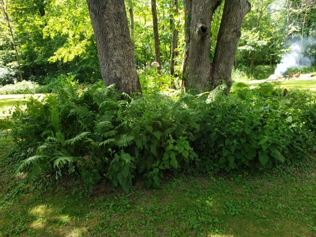 2048 North 3650th Road Serena, IL 60549 - Photo 53 of 82 a view of a garden