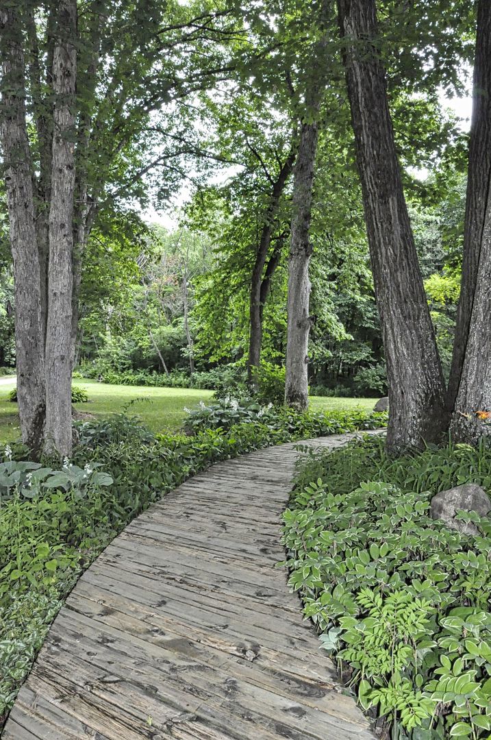 2048 North 3650th Road Serena, IL 60549 - Photo 9 of 82 a view of a yard with plants and large trees