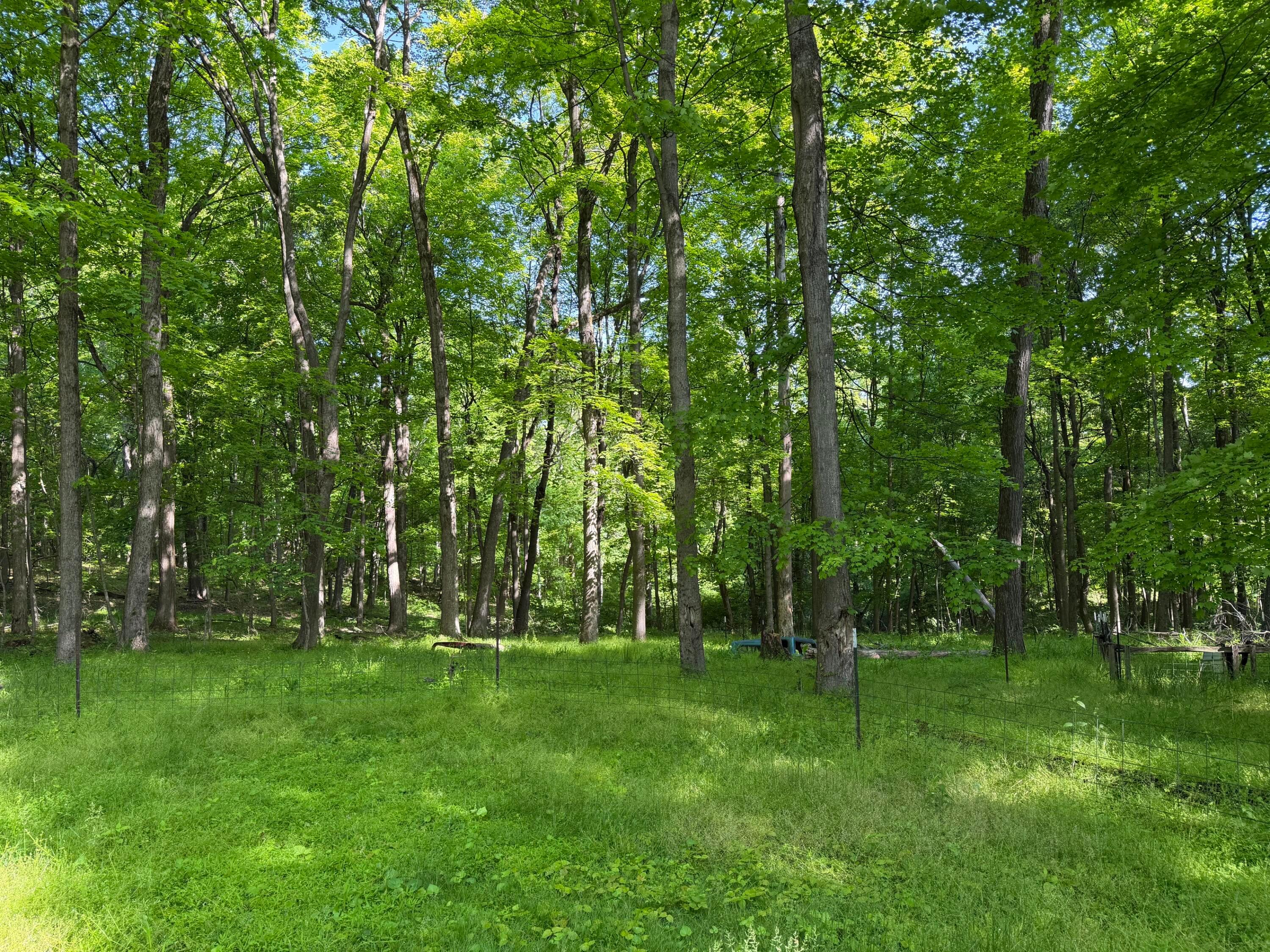 13807 Marshall Road Rockbridge, OH 43149 - Photo 3 of 5 IMG_0263