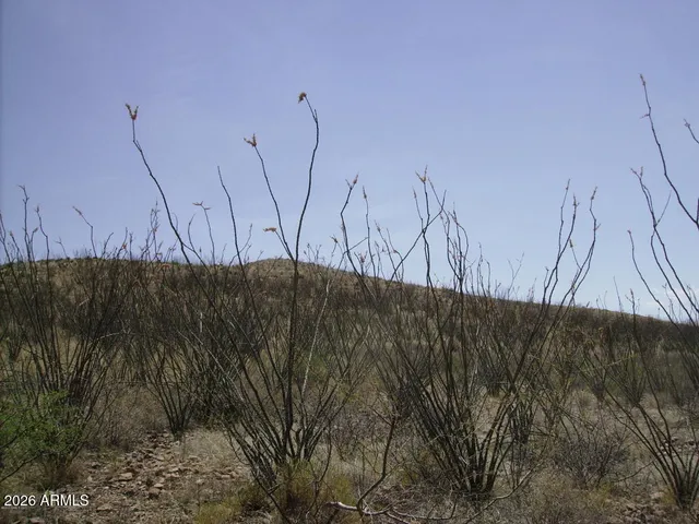 $20,000 | 405-77-105 North Wilderness Trail, Unit 105, Douglas, AZ 85607