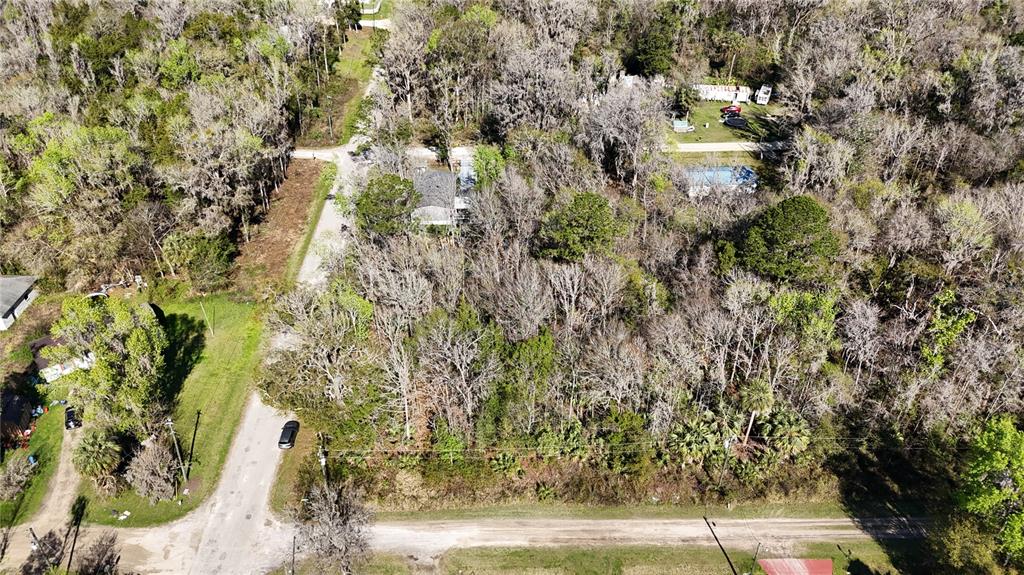0 Southwest 15th Street Road Ocala, FL 34481 - Photo 1 of 5 a view of a yard with plants