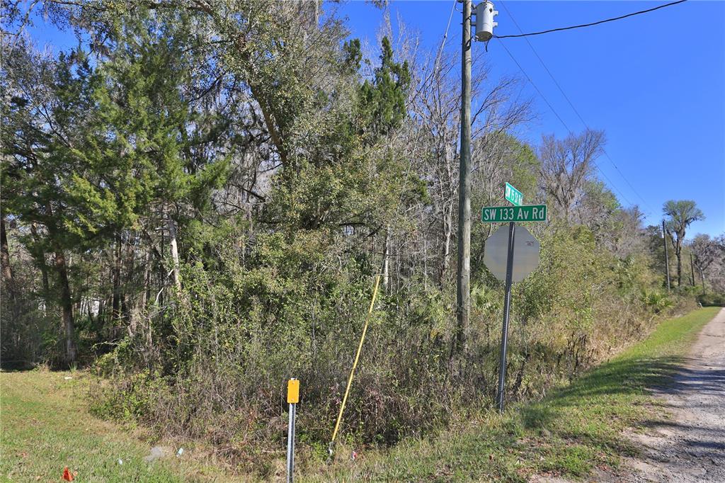 0 Southwest 15th Street Road Ocala, FL 34481 - Photo 4 of 5 a backyard of a house with lots of green space