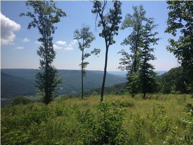 11 Jackson Point Road, Unit 11 Sewanee, TN 37375 - Photo 2 of 6 20150127185342071701000000-o