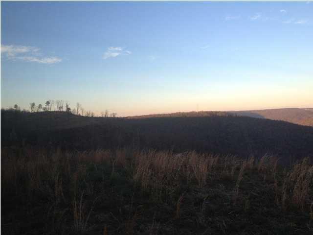 11 Jackson Point Road, Unit 11 Sewanee, TN 37375 - Photo 4 of 6 20150127185342631841000000-o