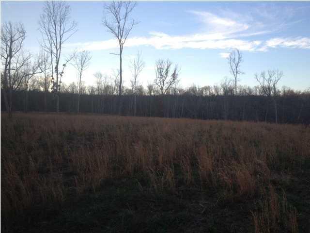 11 Jackson Point Road, Unit 11 Sewanee, TN 37375 - Photo 5 of 6 20150127185342904077000000-o