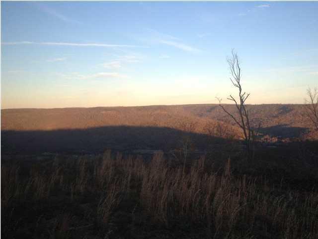 11 Jackson Point Road, Unit 11 Sewanee, TN 37375 - Photo 6 of 6 20150127185343119946000000-o