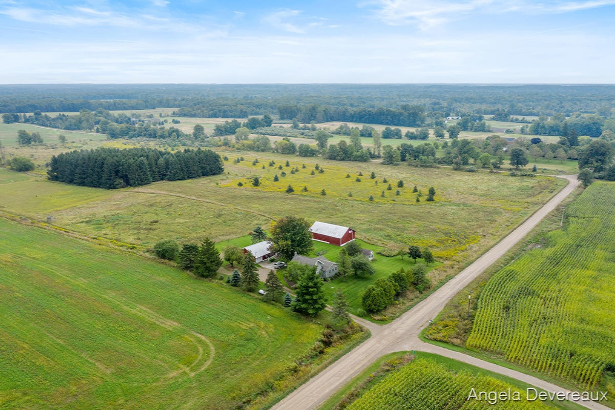 9879 South Alger Road Perrinton, MI 48871 - Photo 33 of 36 IMG_1010