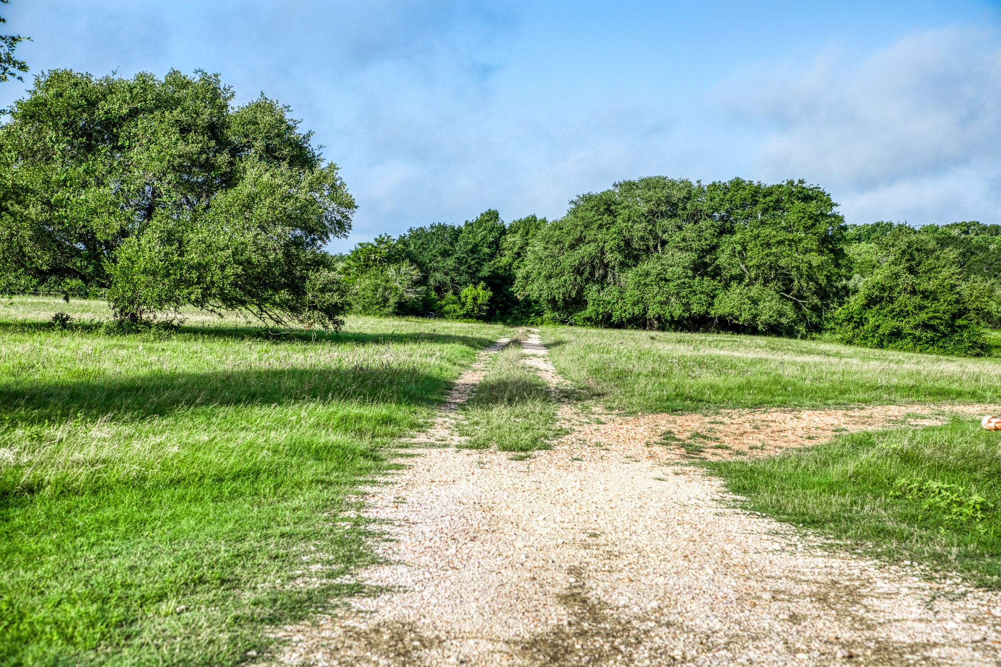 5 South Nassau Road Round Top, TX 78954 - Photo 4 of 23 a view of a grassy field with trees in the background