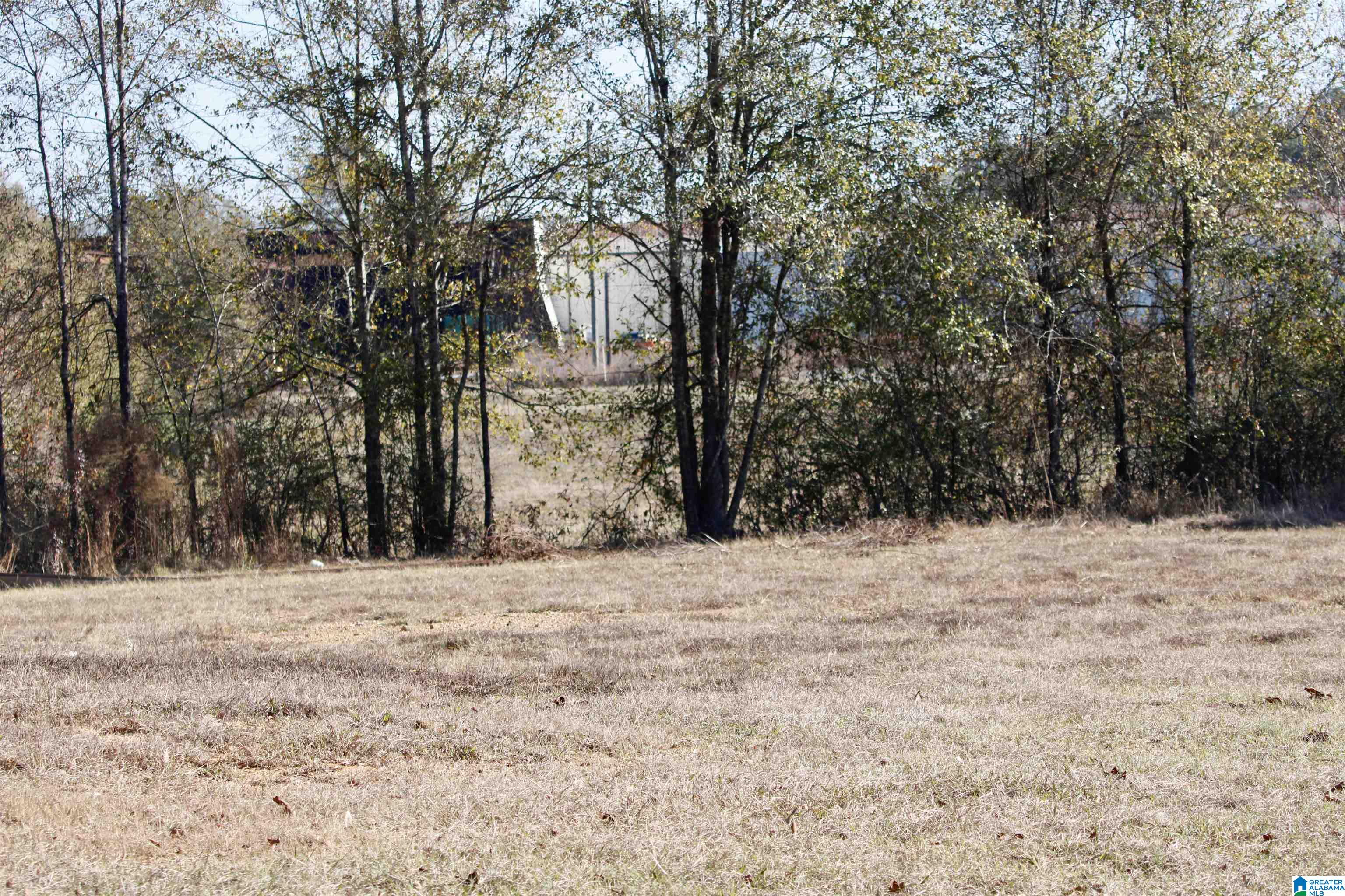133 Thompson Drive Vincent, AL 35178 - Photo 10 of 23