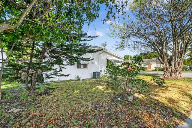 a view of a yard with plants and trees