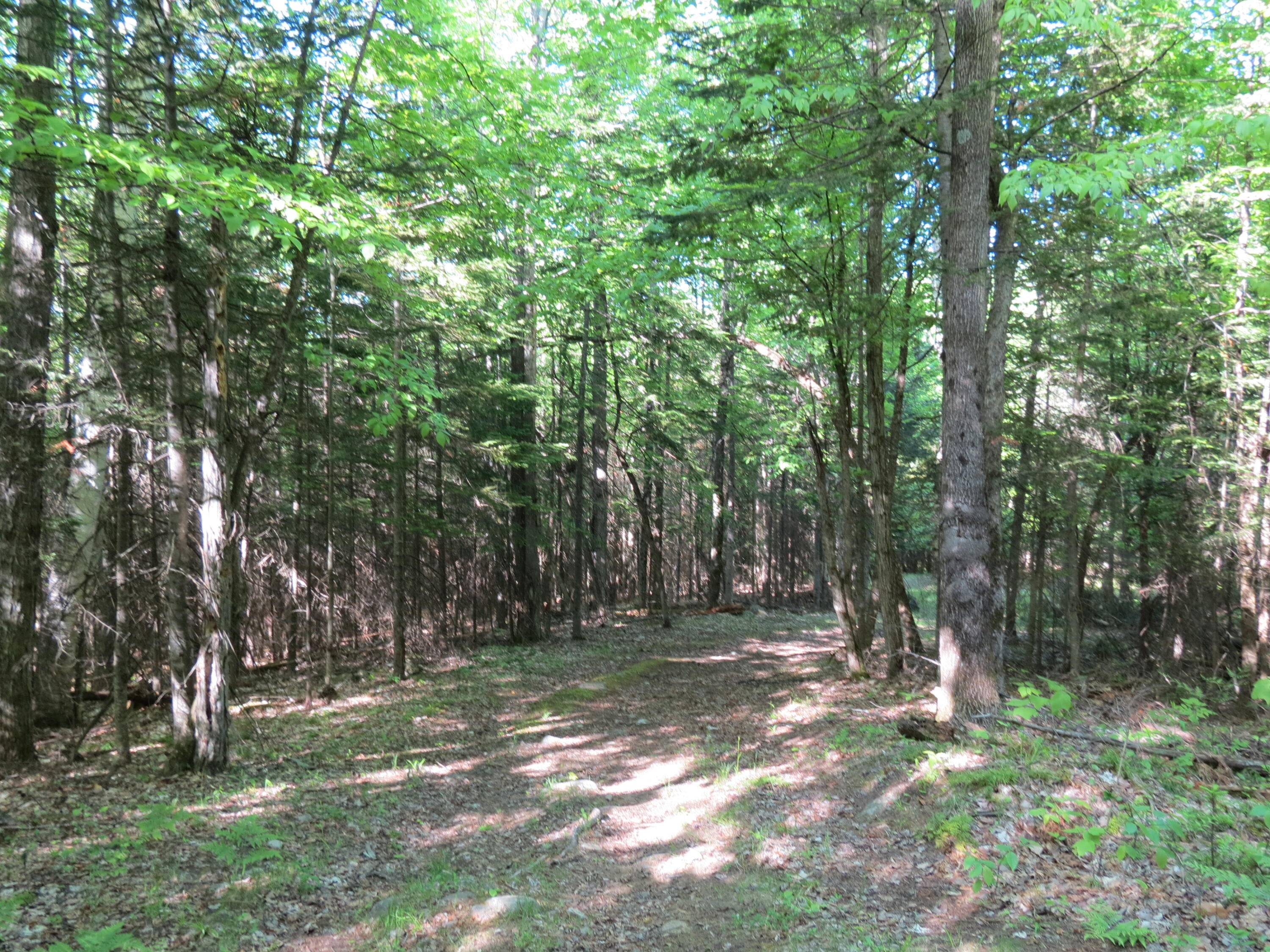 0 Trumbulls Road Upper Jay, NY 12987 - Photo 15 of 22