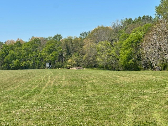 1191 Swan Mill Road Morrison, TN 37357 - Photo 5 of 14