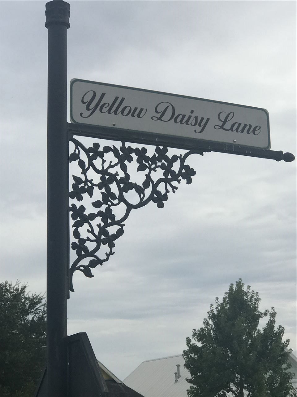 Yellow Daisy Lane Foley, AL 36535 - Photo 3 of 6