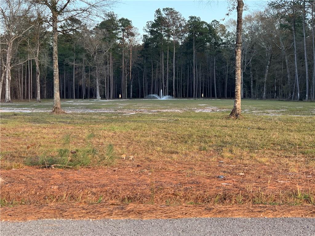 33994 J L Kinchen Road Independence, LA 70443 - Photo 2 of 11 Gallery Image 2