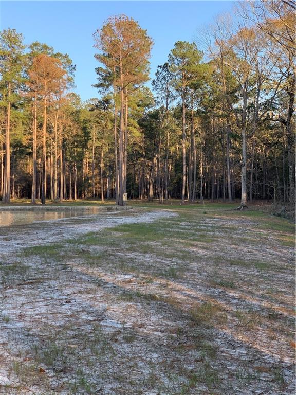 33994 J L Kinchen Road Independence, LA 70443 - Photo 8 of 11 Gallery Image 8