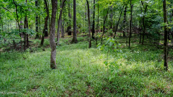 $162,902 | 0 Henderson Road, Jackson, MS 39272