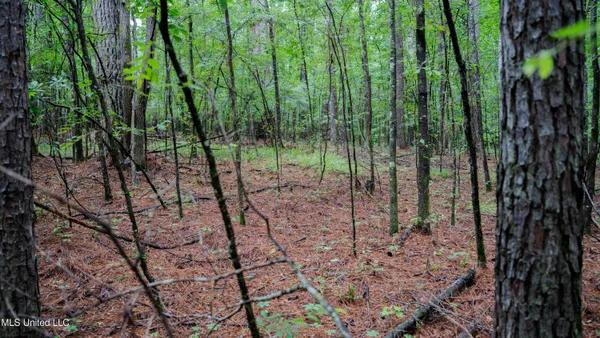 $162,902 | 0 Henderson Road, Jackson, MS 39272