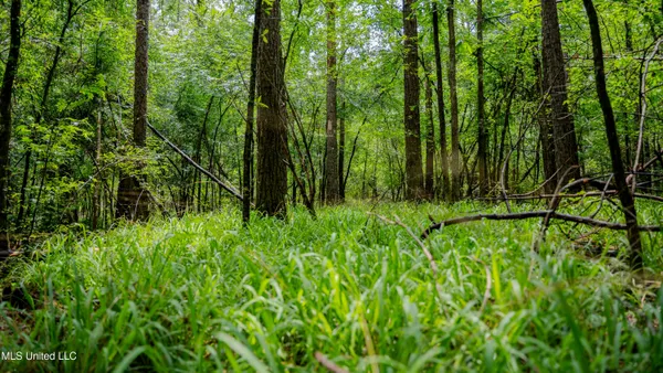 $162,902 | 0 Henderson Road, Jackson, MS 39272